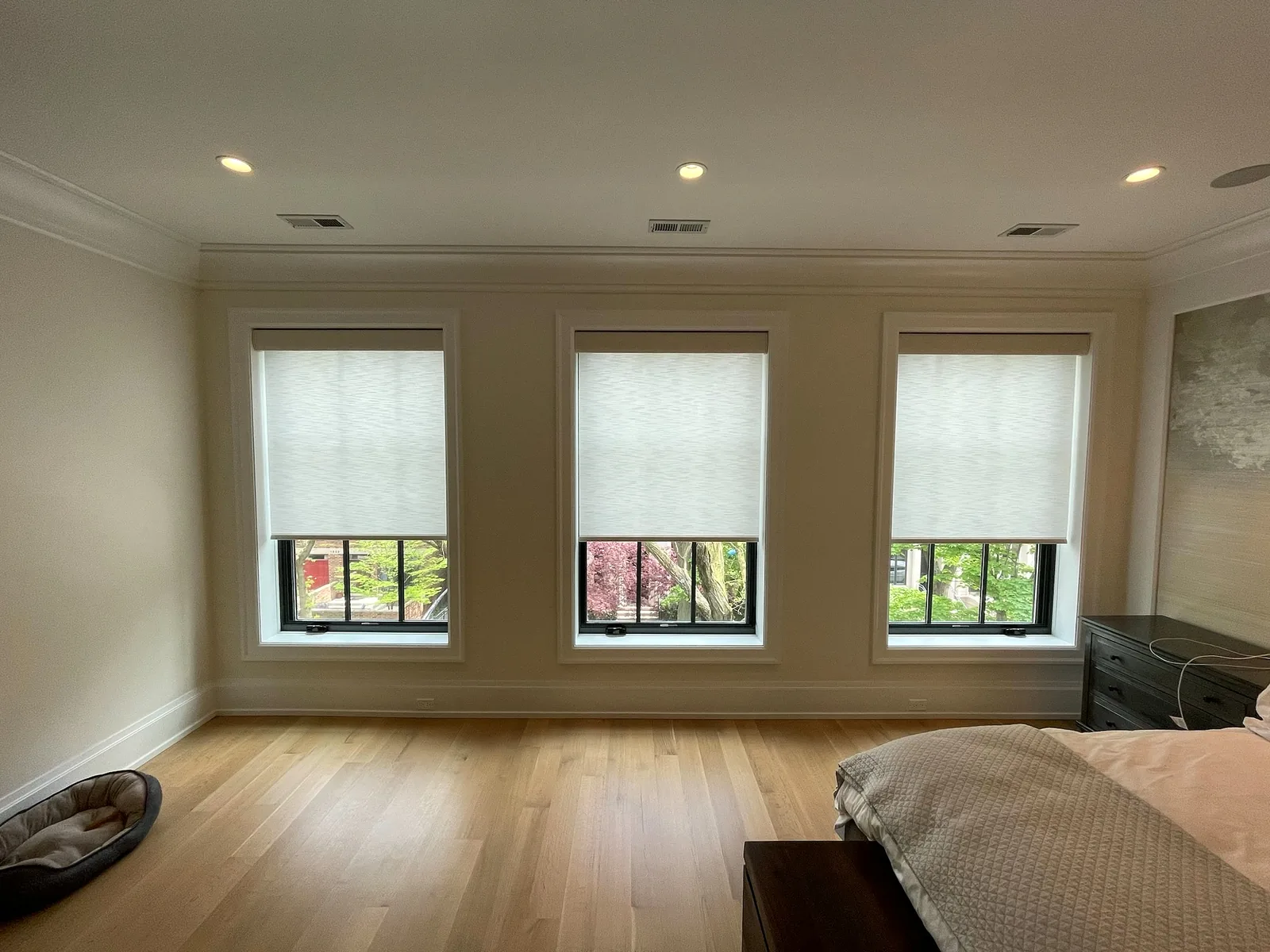 Window Treatments project by Hooked Up Installs, photo 32