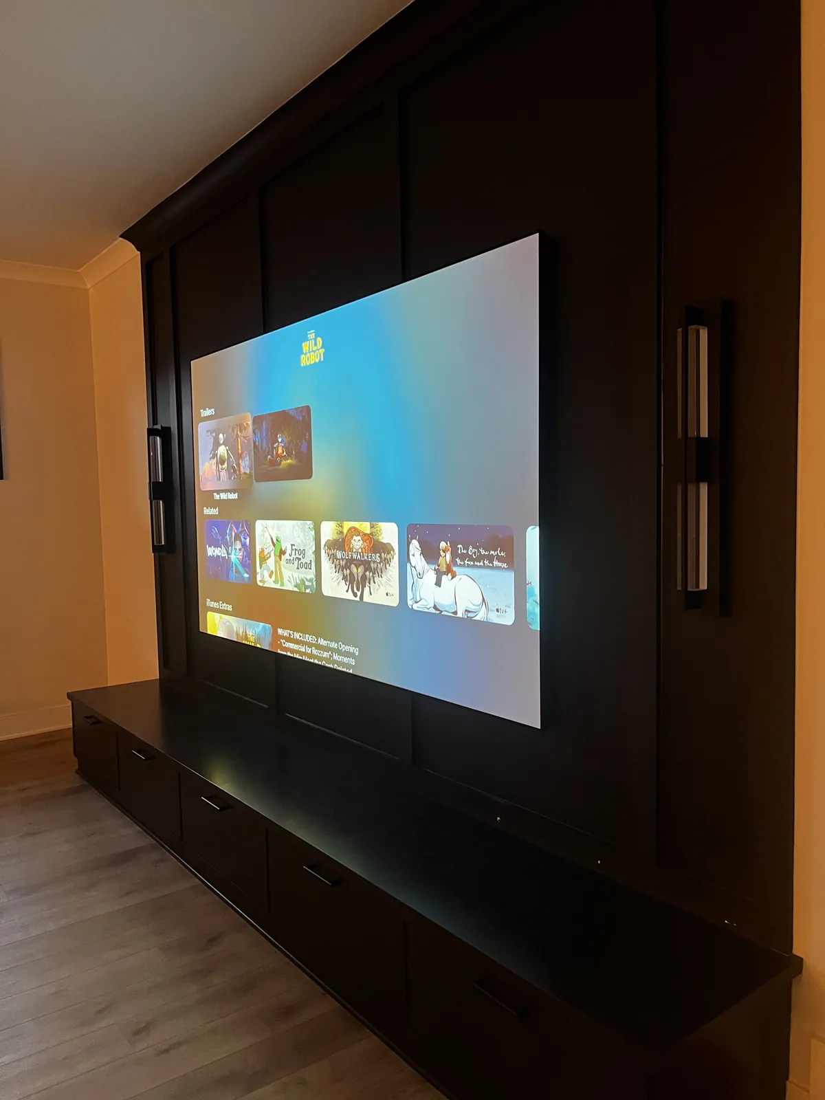 Home Theater project by Hooked Up Installs, photo 10